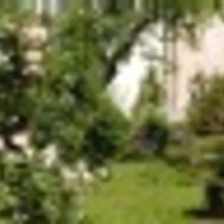 Schloss Vakantiehuis Plankenfels